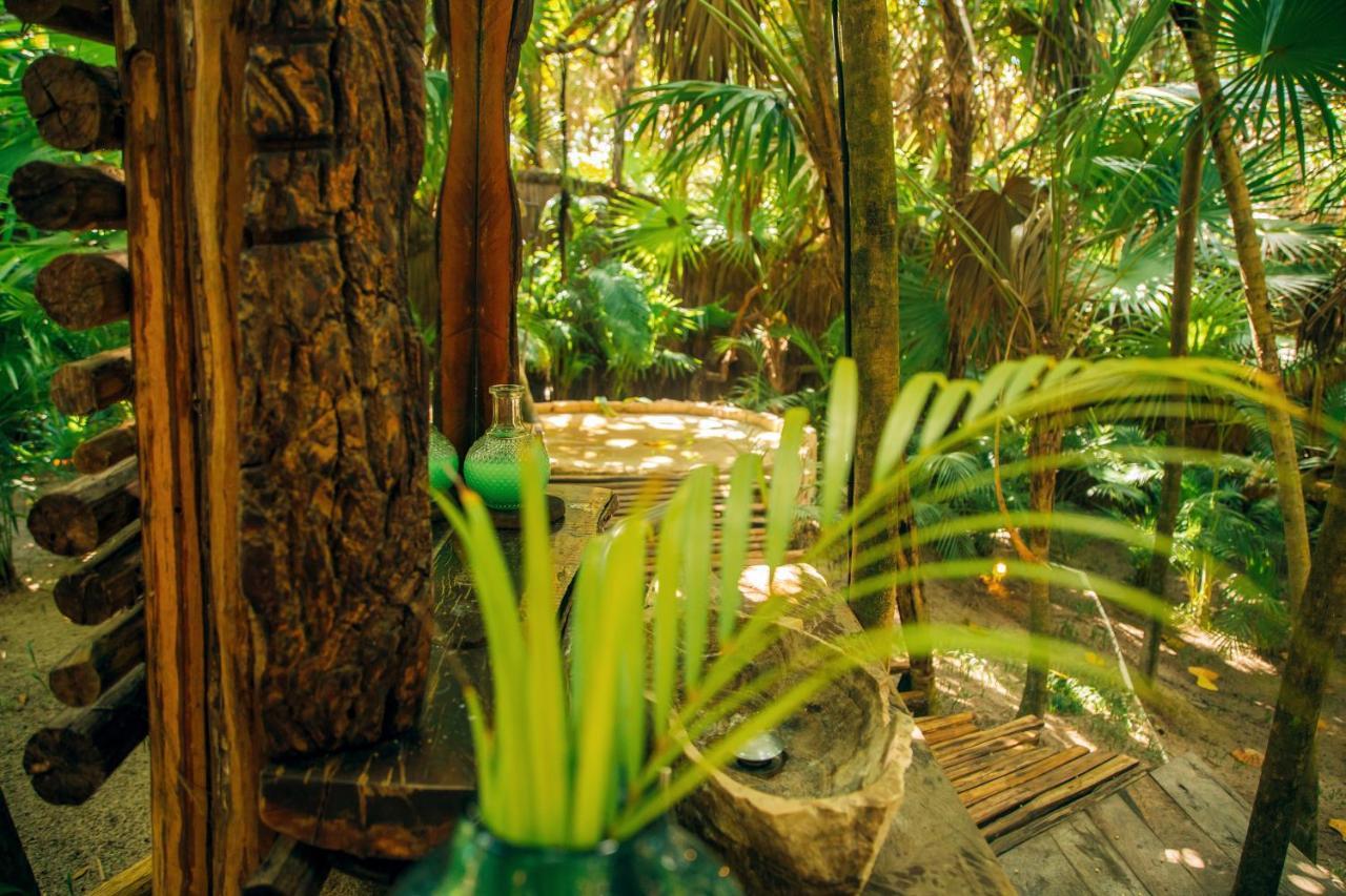 Ikal Tulum Hotel Exterior photo The interior of the rainforest